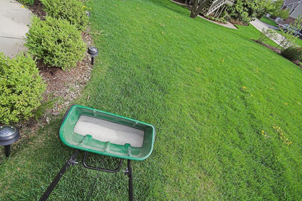 lawn-fertilizer-schedule-interval-4-spot-on-inspection