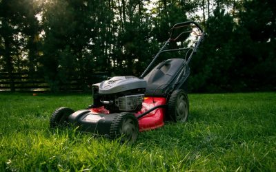 Lawn Maintenance Tips for Spring and Summer