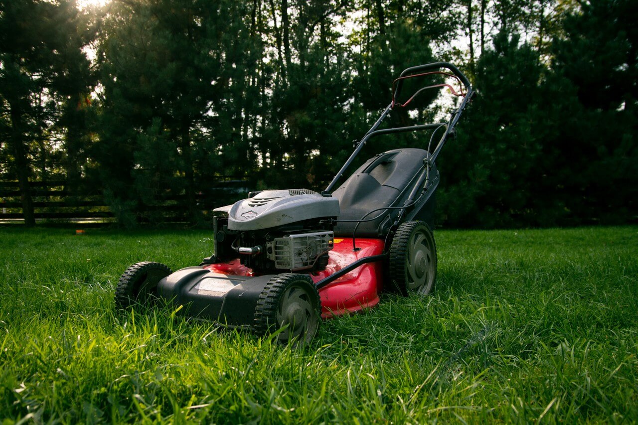 Lawn Maintenance Tips For Spring And Summer Spot On Inspection