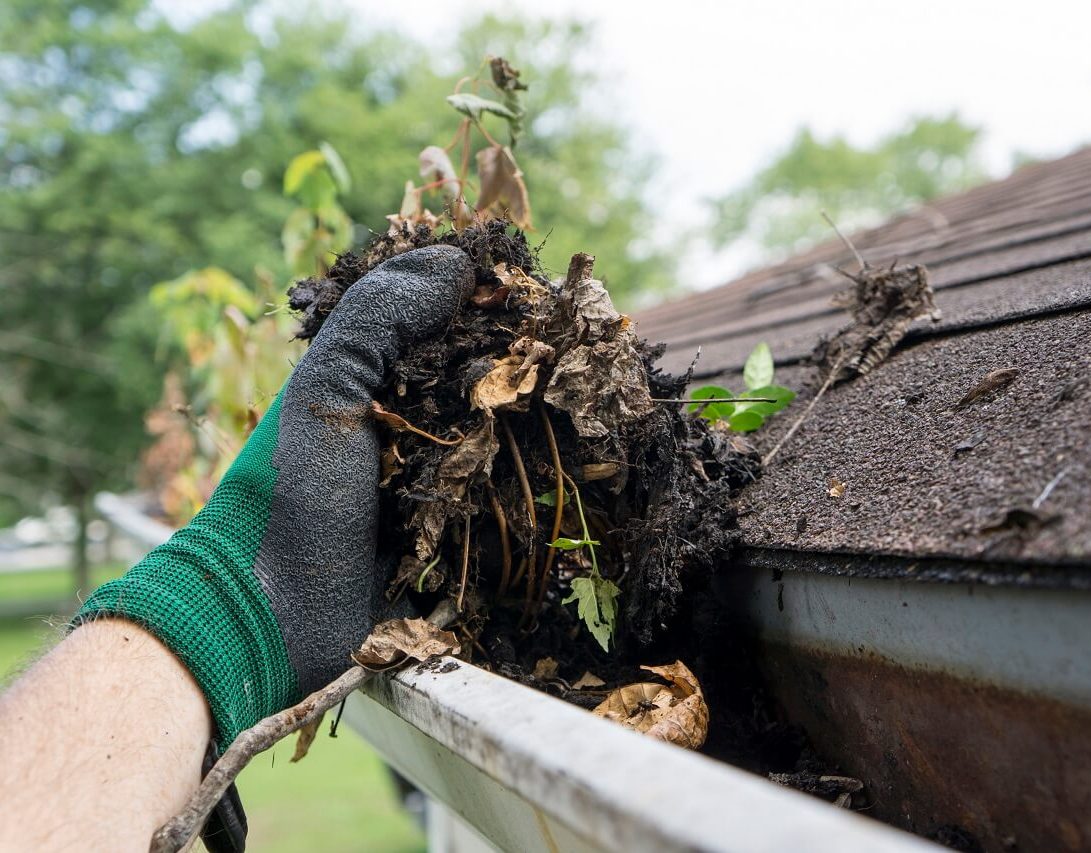 gutter cleaning can easily be handled with a ladder, gloves, and a bit of time